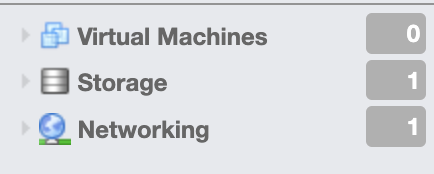 ESXi Networking Sekmesi