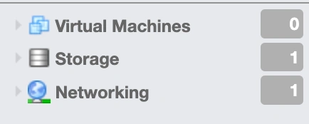 ESXi Networking Sekmesi