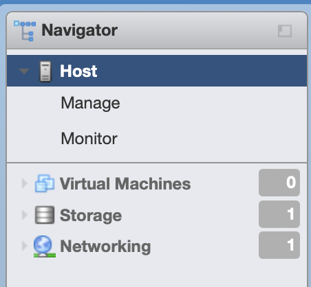 ESXi Web Arayüzü