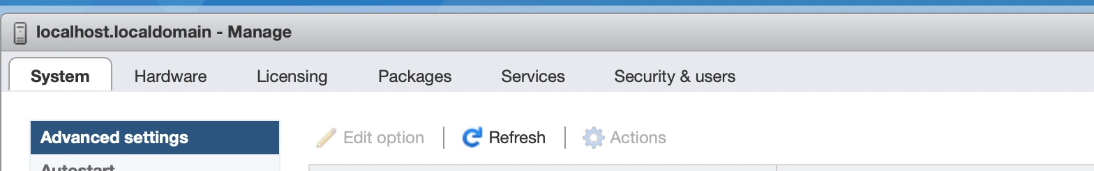 ESXi Manager Bölümü