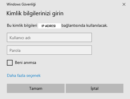 Dil Seçenekleri
