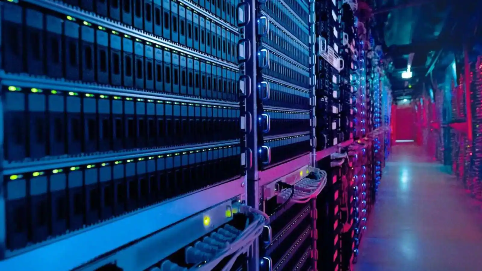 Web Hosting